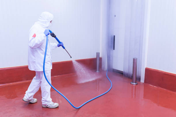 Best Sidewalk and Walkway Cleaning  in Southmayd, TX